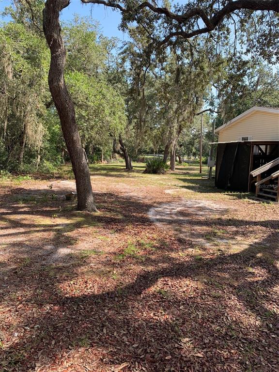 3544 East Withlacoochee Trail Dunnellon, FL 34434 - Photo 35 of 53 a backyard of a house with lots of green space