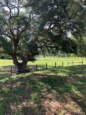 a view of a lake from a yard
