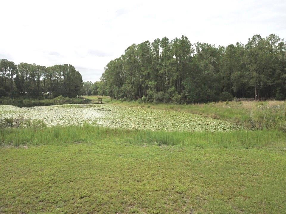 3544 East Withlacoochee Trail Dunnellon, FL 34434 - Photo 39 of 53 a view of a lake from a yard