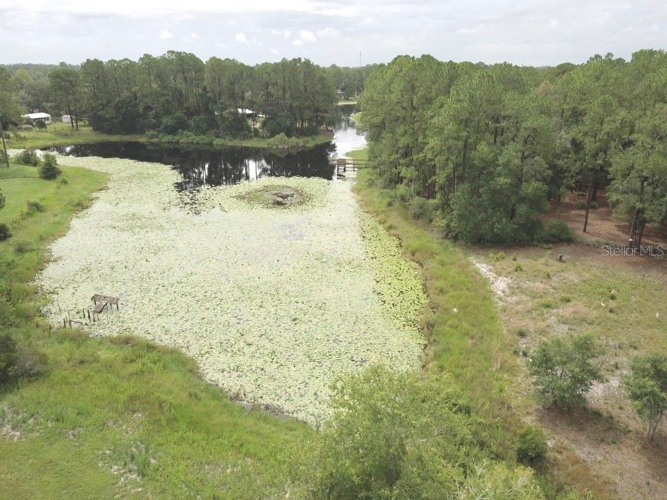 3544 East Withlacoochee Trail Dunnellon, FL 34434 - Photo 40 of 53 a view of a lake with a mountain in the background
