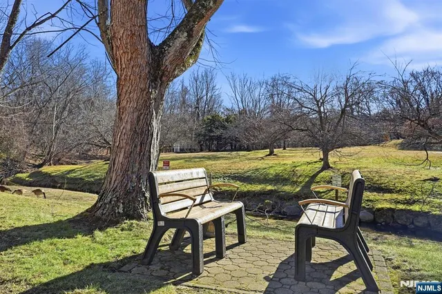 a view of a garden with trees