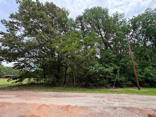 $15,000 | 75457 Tbd Llano Mount, Mount Vernon, TX 75457