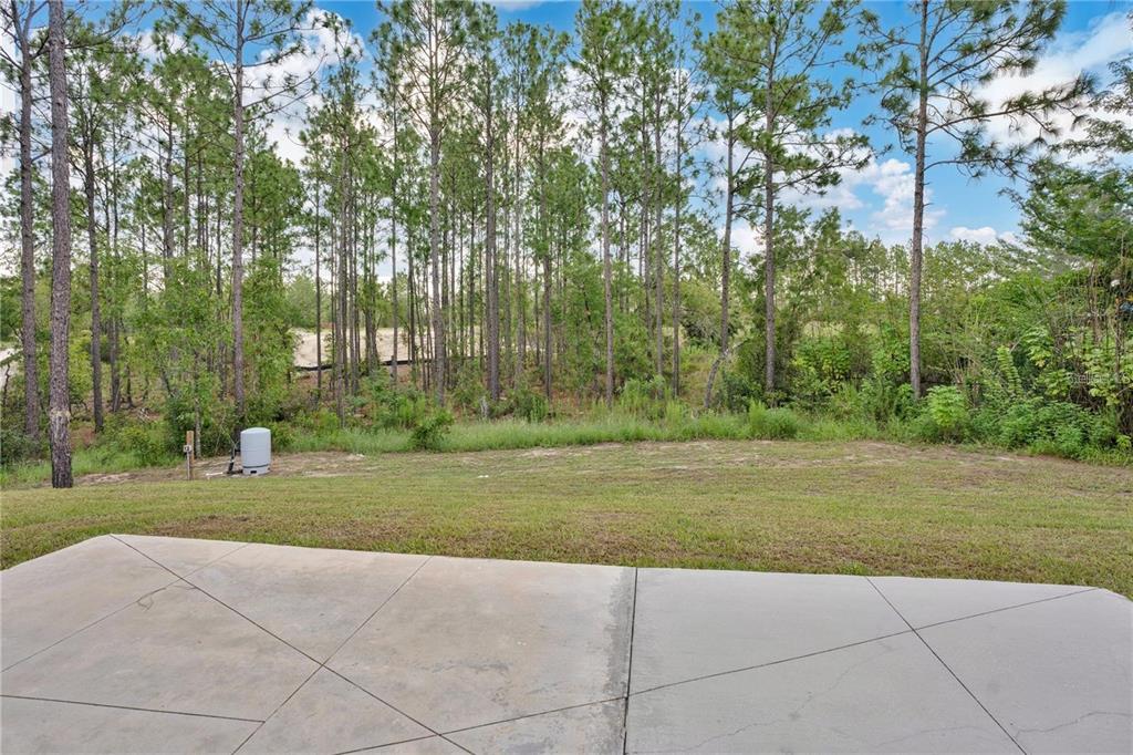 8707 Southwest 131st Place Ocala, FL 34473 - Photo 21 of 26