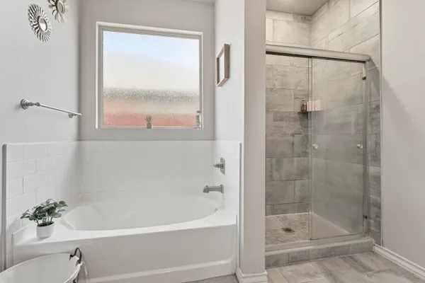 a bathroom with a shower and a bathtub