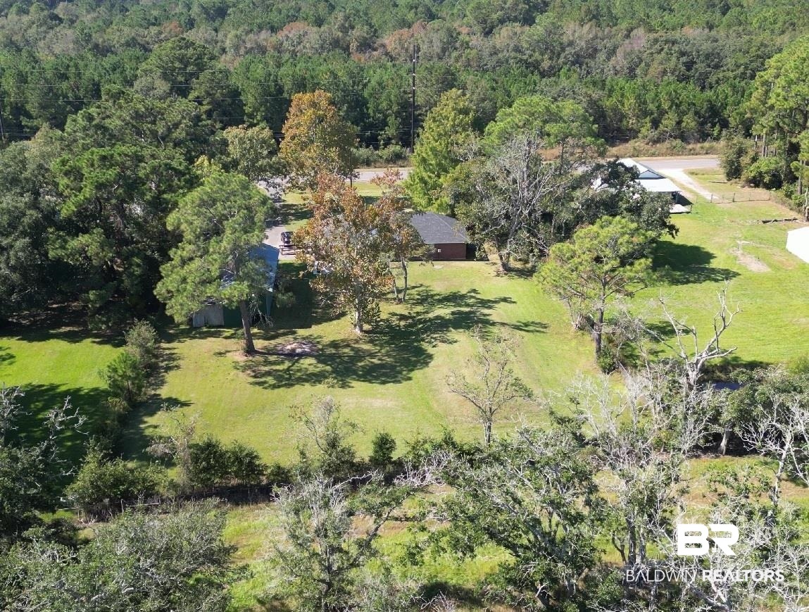 14313 Hemley Road Coden, AL 36523 - Photo 20 of 44 Drone / aerial view