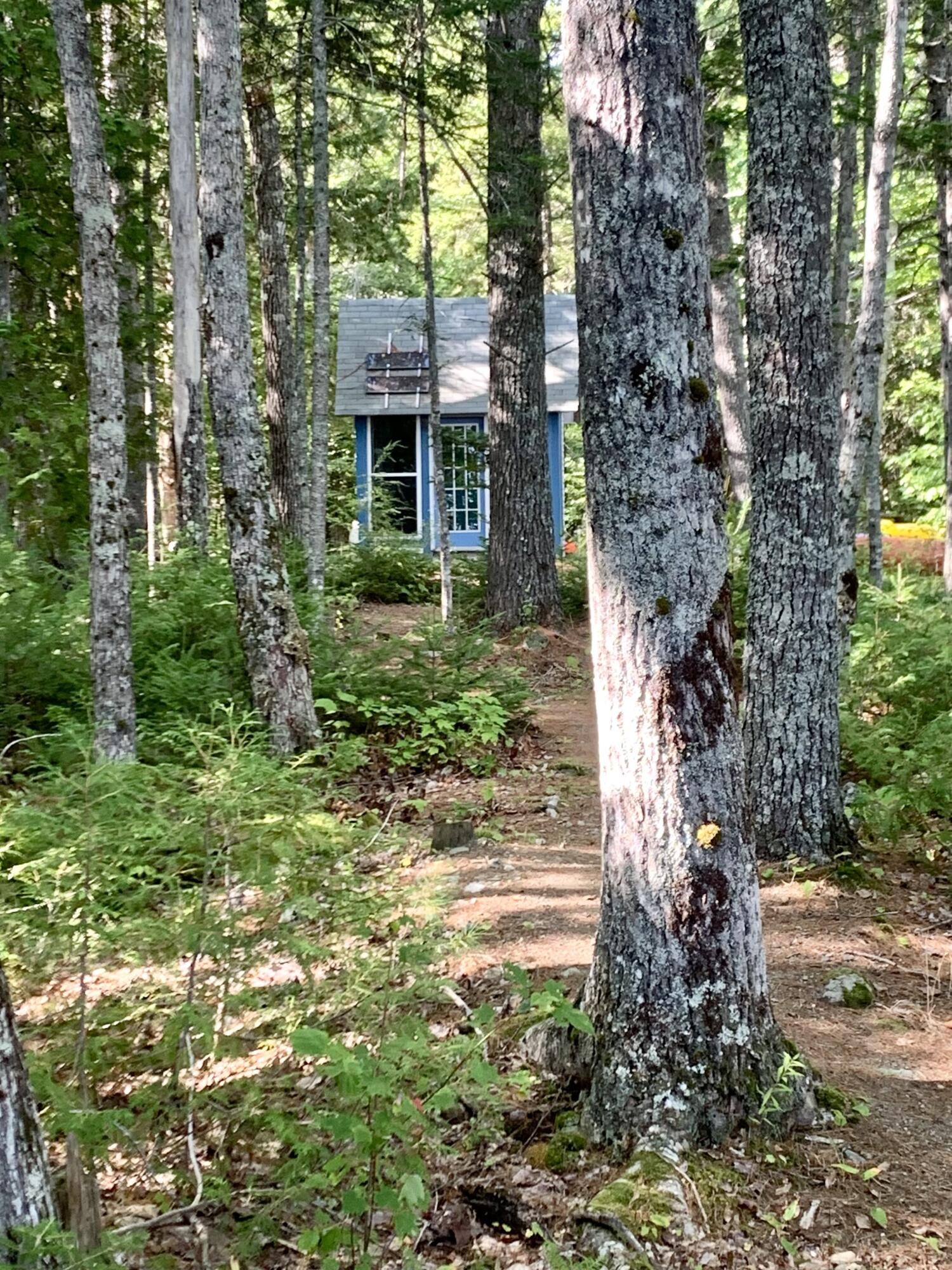 141 Meddybemps Shores Road Alexander, ME 04694 - Photo 30 of 50 IMG_0324