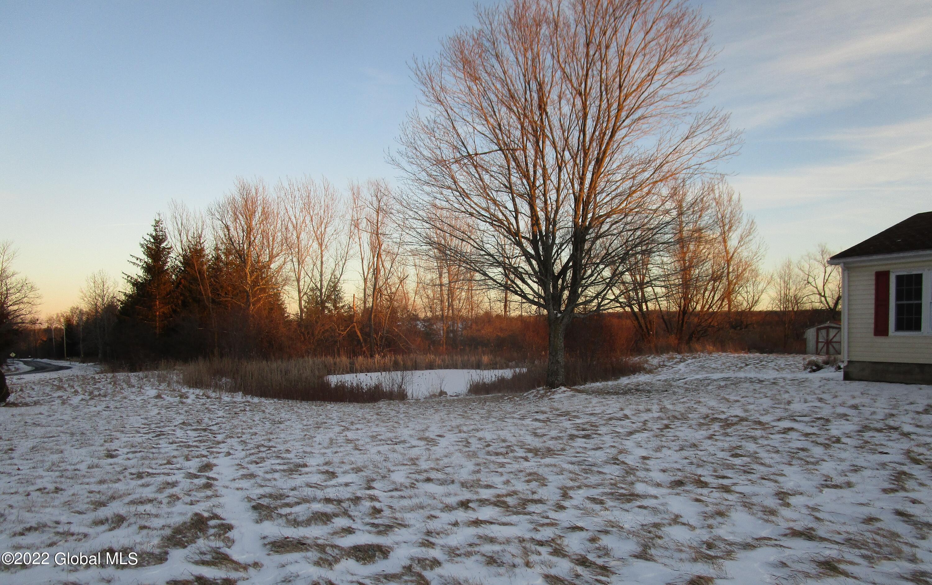 95 Church Road Delanson, NY 12053 - Photo 20 of 25 church pond