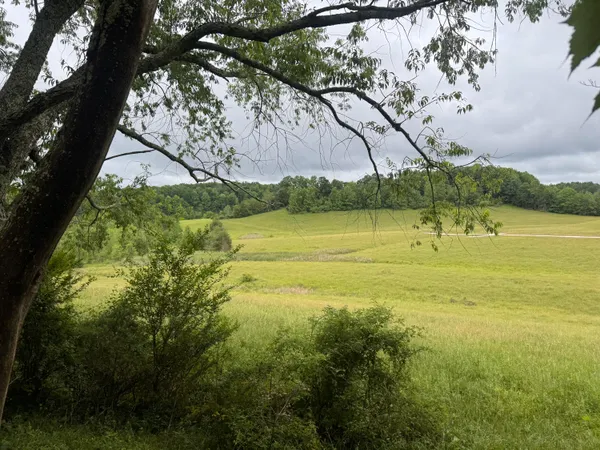 $215,000 | 4135 Big Andy Ridge Road, Unit TRACT 5, Rogers, KY 41365