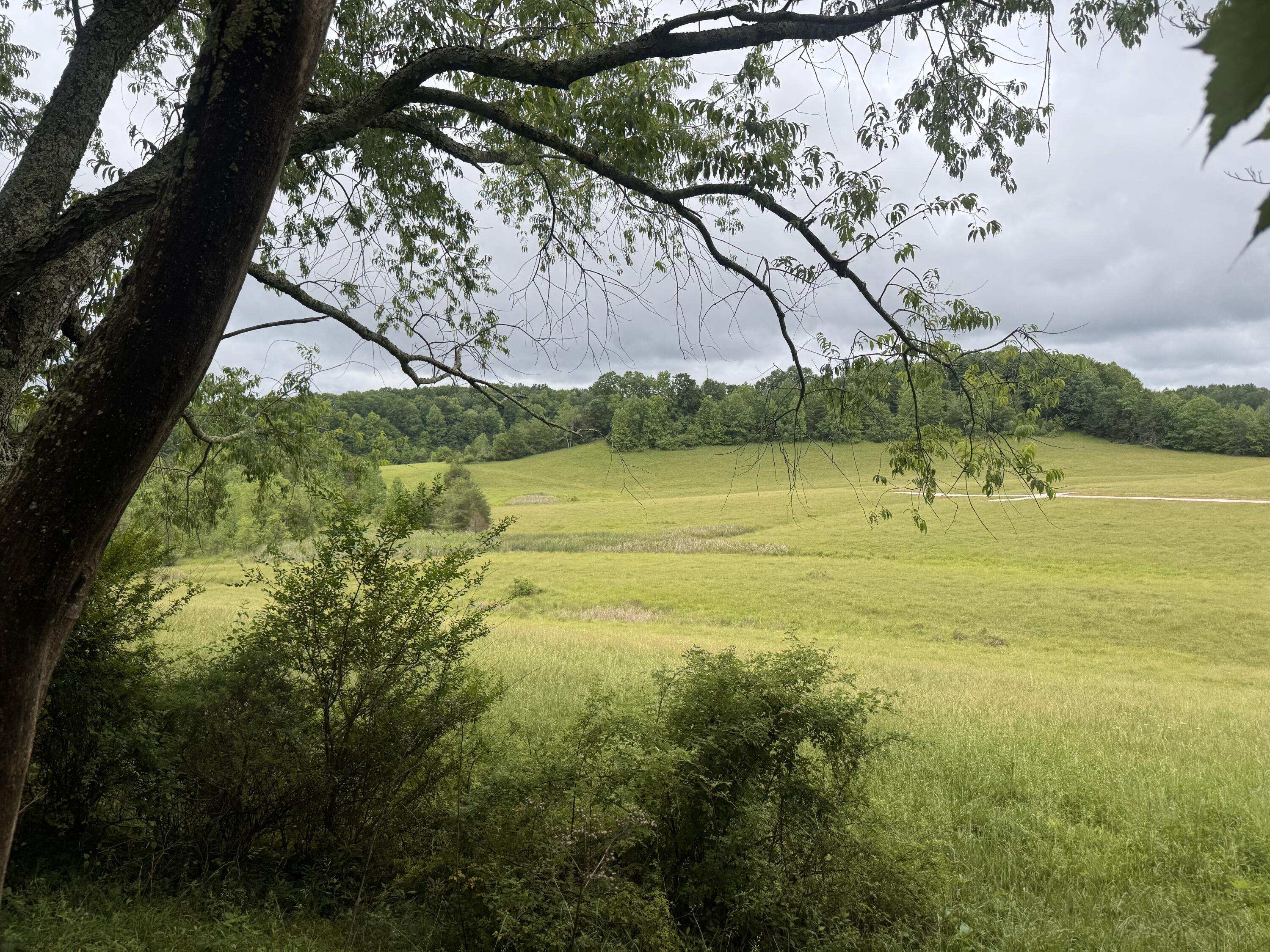 4135 Big Andy Ridge Road, Unit TRACT 5 Rogers, KY 41365 - Photo 1 of 10 Tract 5
