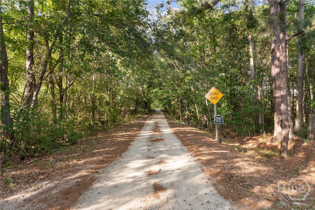 452 Joe Oglesby Road Portal, GA 30450 - Photo 49 of 50