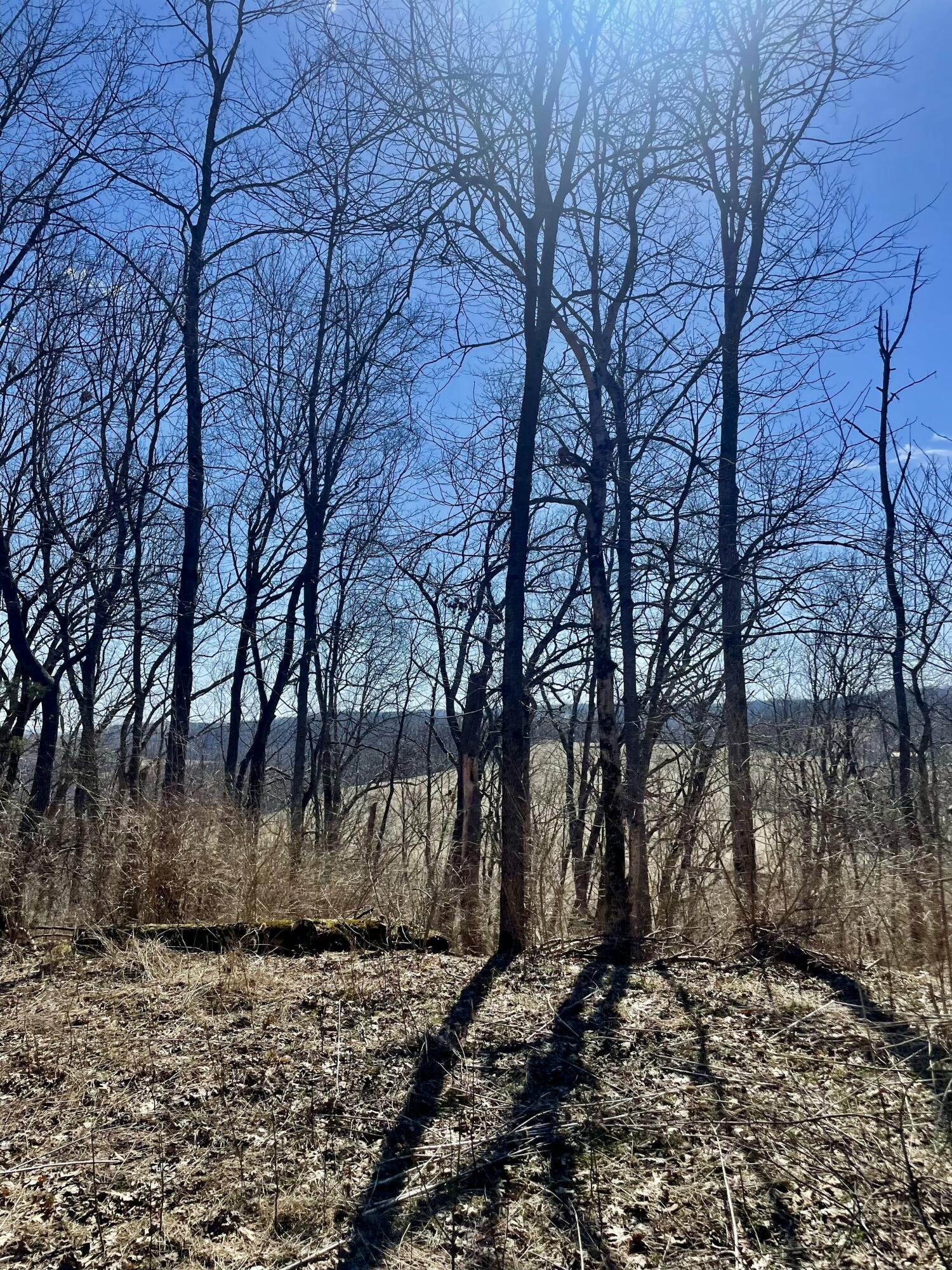 45-ac Ridge Road Flemingsburg, KY 41041 - Photo 7 of 16 tempImagen6KCVD