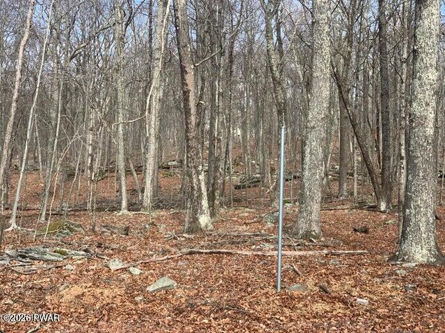 Lot 644 Woodcock Road Bushkill, PA 18324 - Photo 4 of 4