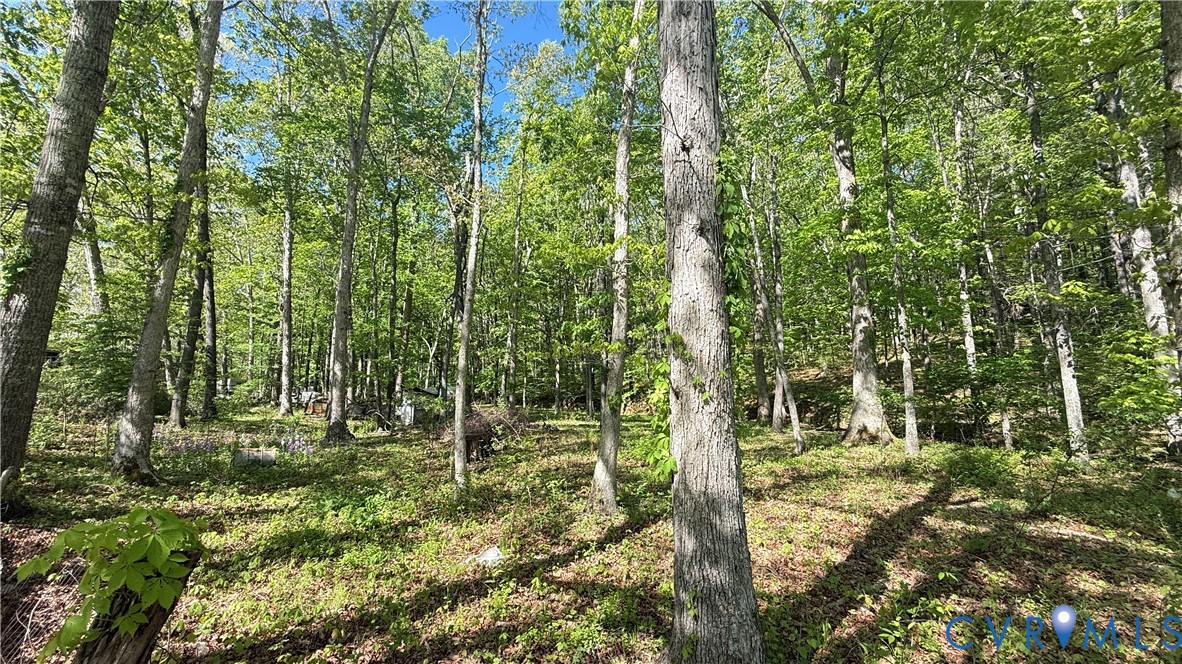 4683 Buffalo Road Lexington, VA 24450 - Photo 3 of 20 a big yard with lots of green space and trees