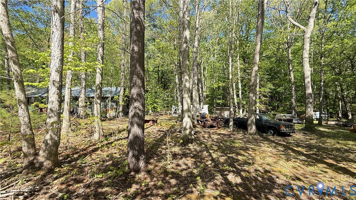 4683 Buffalo Road Lexington, VA 24450 - Photo 5 of 20 a view of outdoor space and garden