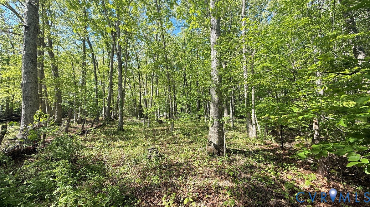 4683 Buffalo Road Lexington, VA 24450 - Photo 8 of 20 a view of a garden
