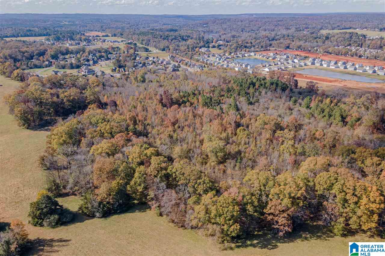 0 Highway 119 Montevallo, AL 35115 - Photo 3 of 5