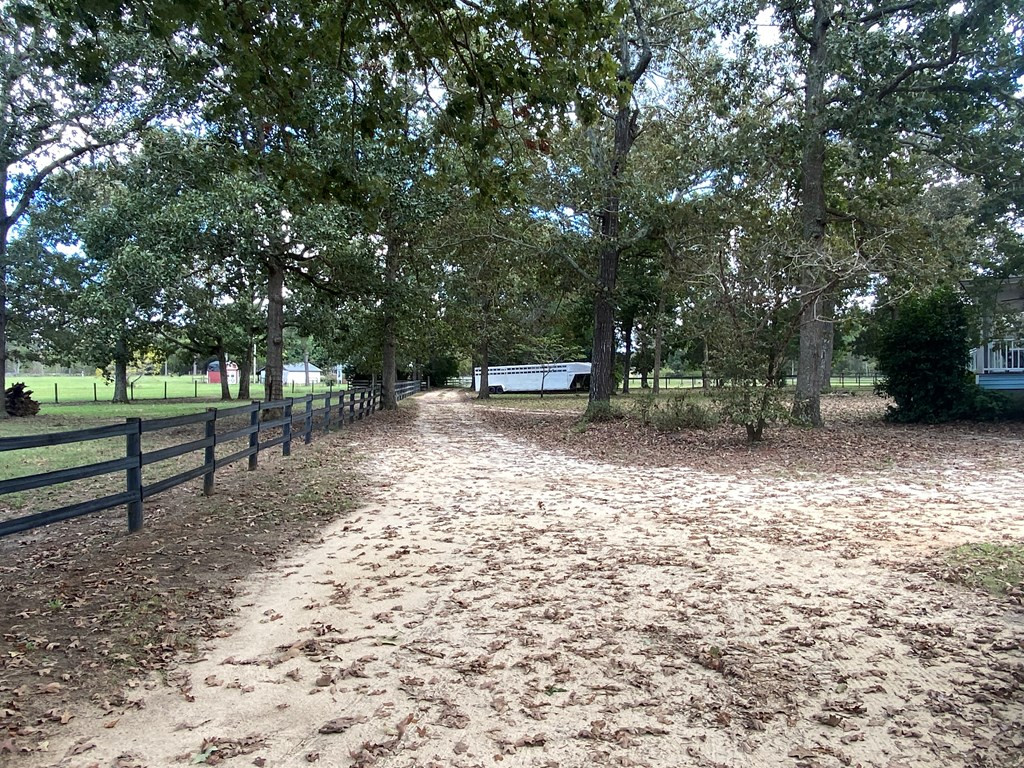347 Heritage Road Williston, SC 29853 - Photo 7 of 47