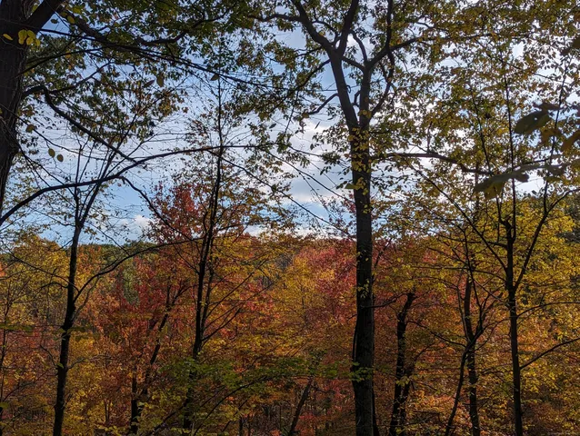 $7,000 | 3 Laurelwood Drive, New Fairfield, CT 06812