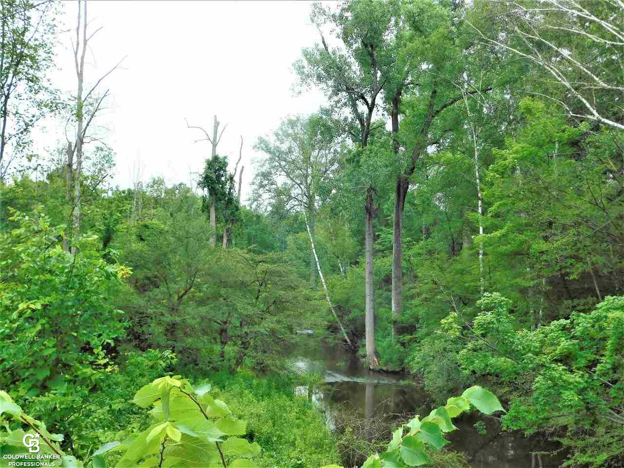 Rynn Road North Street, MI 48049 - Photo 3 of 7