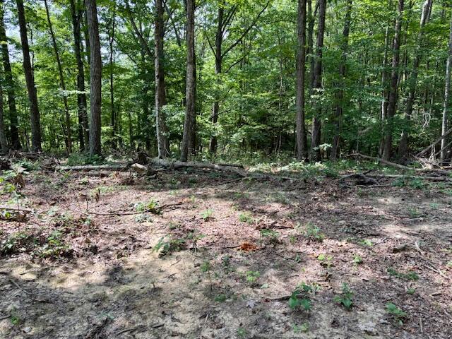 0 War Fork Road McKee, KY 40447 - Photo 2 of 12 Acreage 2