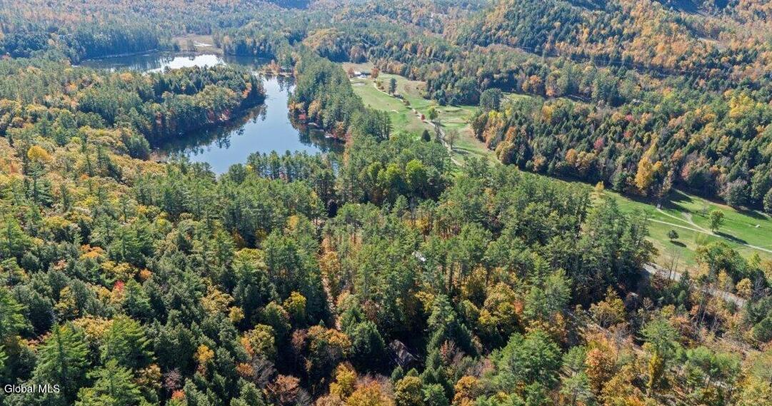 36 Grove Street Chester, NY 12817 - Photo 25 of 28 Screenshot 2025-12-04 131917