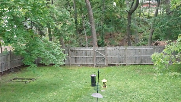 147 Elmlawn Road Braintree, MA 02184 - Photo 10 of 10 Gallery Image 10