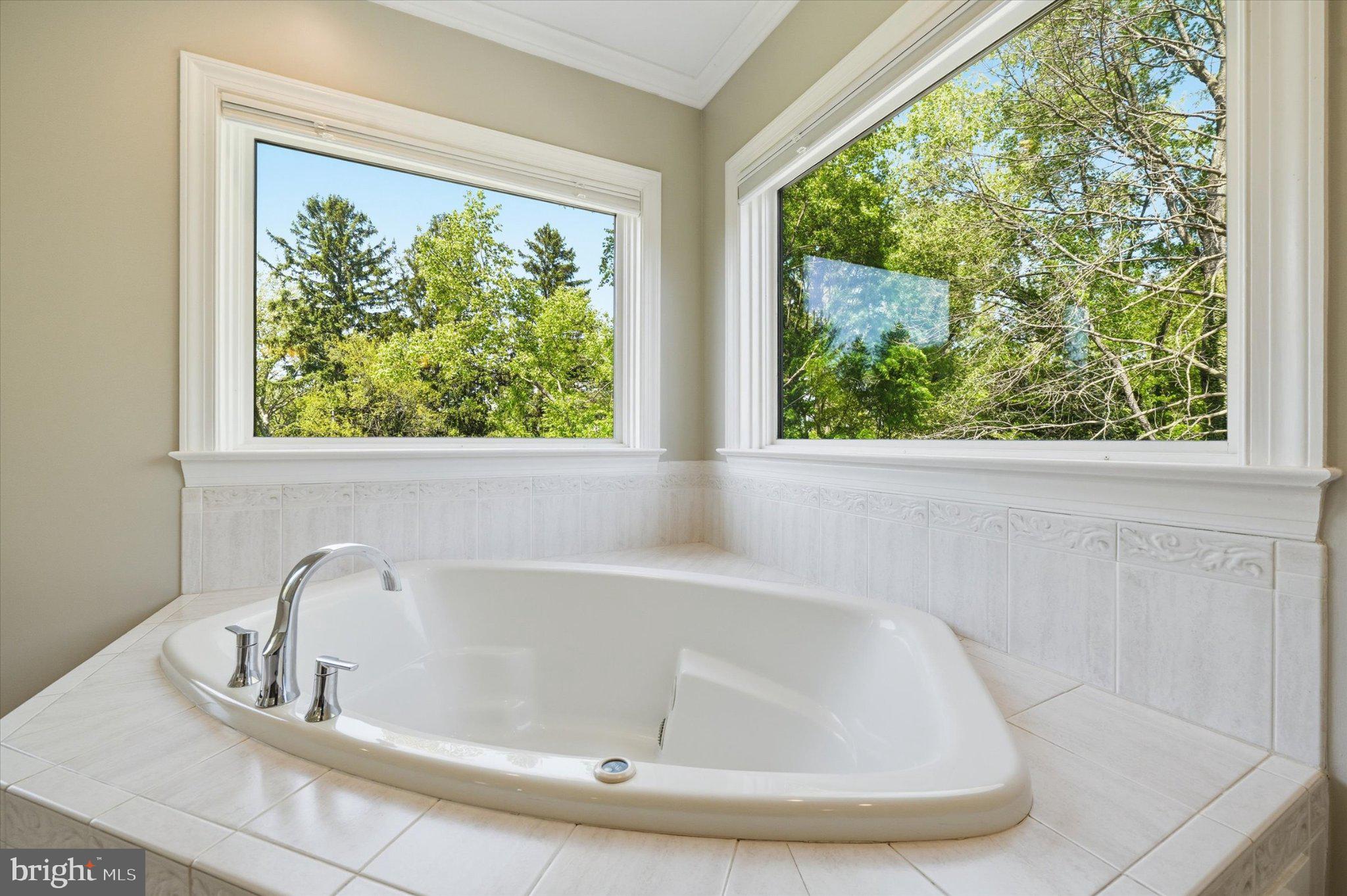 1540 Fairville Road Chadds Ford, PA 19317 - Photo 37 of 84 Serene bath with nature views.