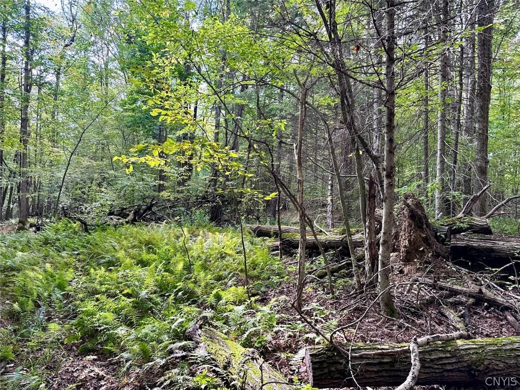 East Road Angelica, NY 14709 - Photo 10 of 23 Gallery Image 10