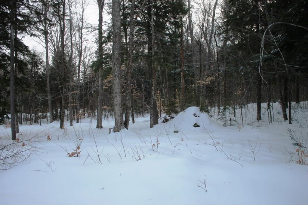 0 Big Moose Point Road Greenville Junction, ME 04442 - Photo 1 of 3 Photo
