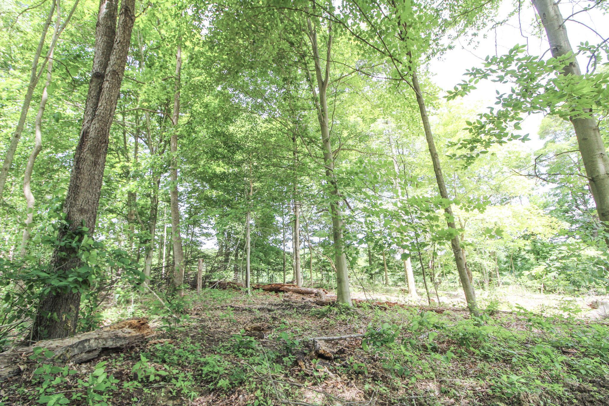 Lot 1 Mulberry Road Mount Perry, OH 43760 - Photo 11 of 31 12-IMG_8658