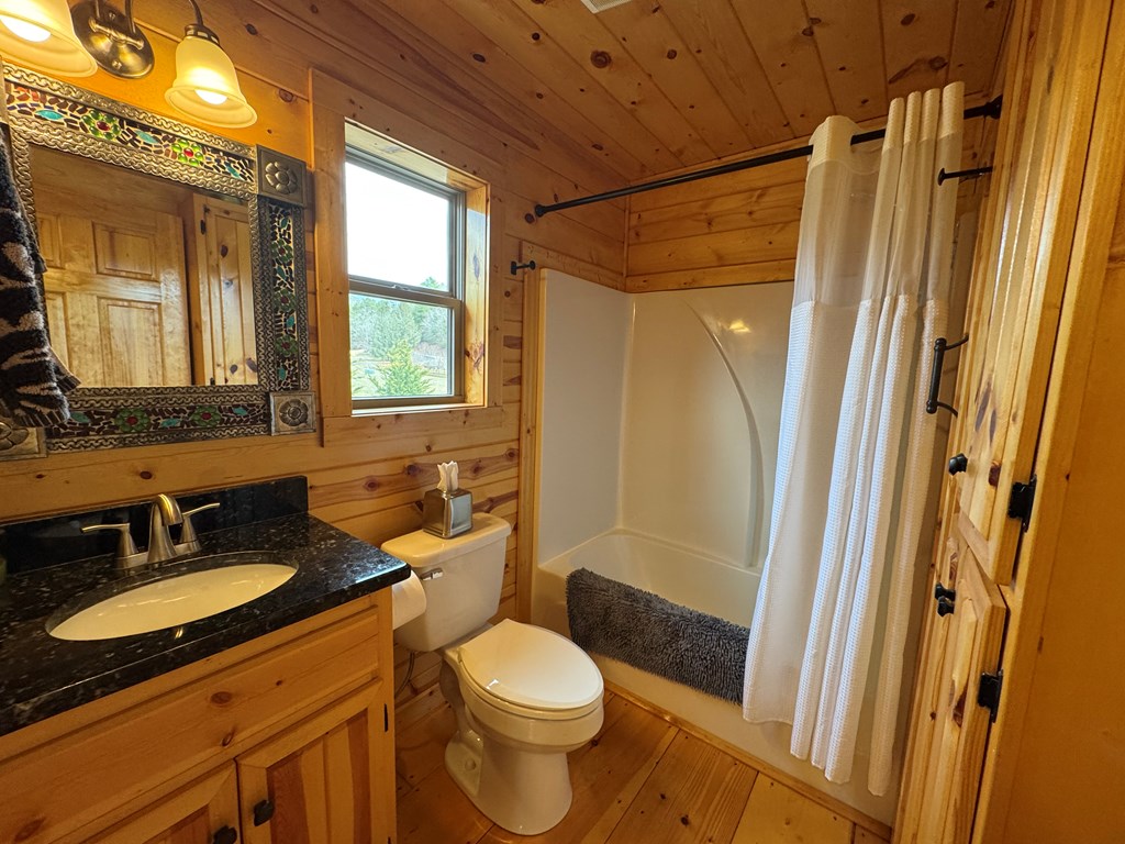 560 Panther Top Road Murphy, NC 28906 - Photo 28 of 52 Gallery Image 28