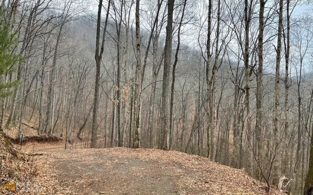 a view of a backyard of the house