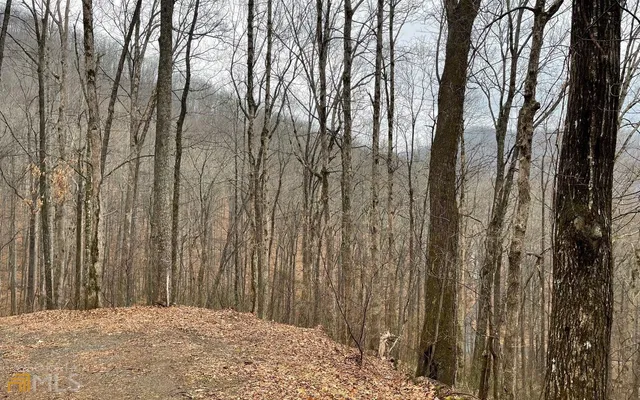 a view of a backyard of the house