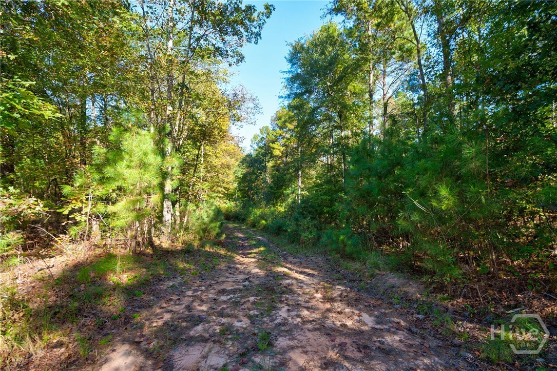 1 Bridges Road Carlton, GA 30627 - Photo 12 of 33