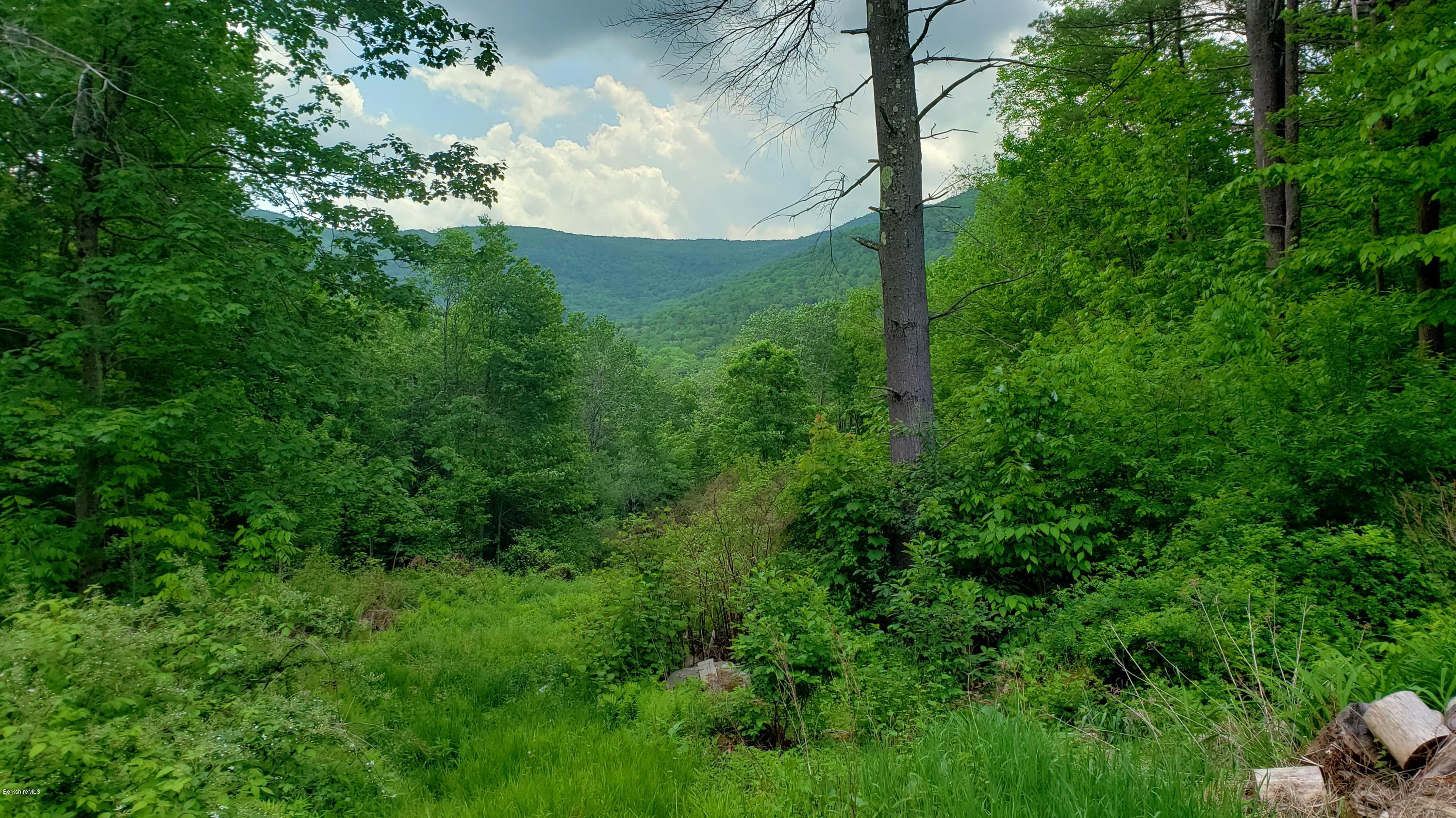 805 Lincoln Road Stamford, VT 05352 - Photo 1 of 13 a view of a lush green space