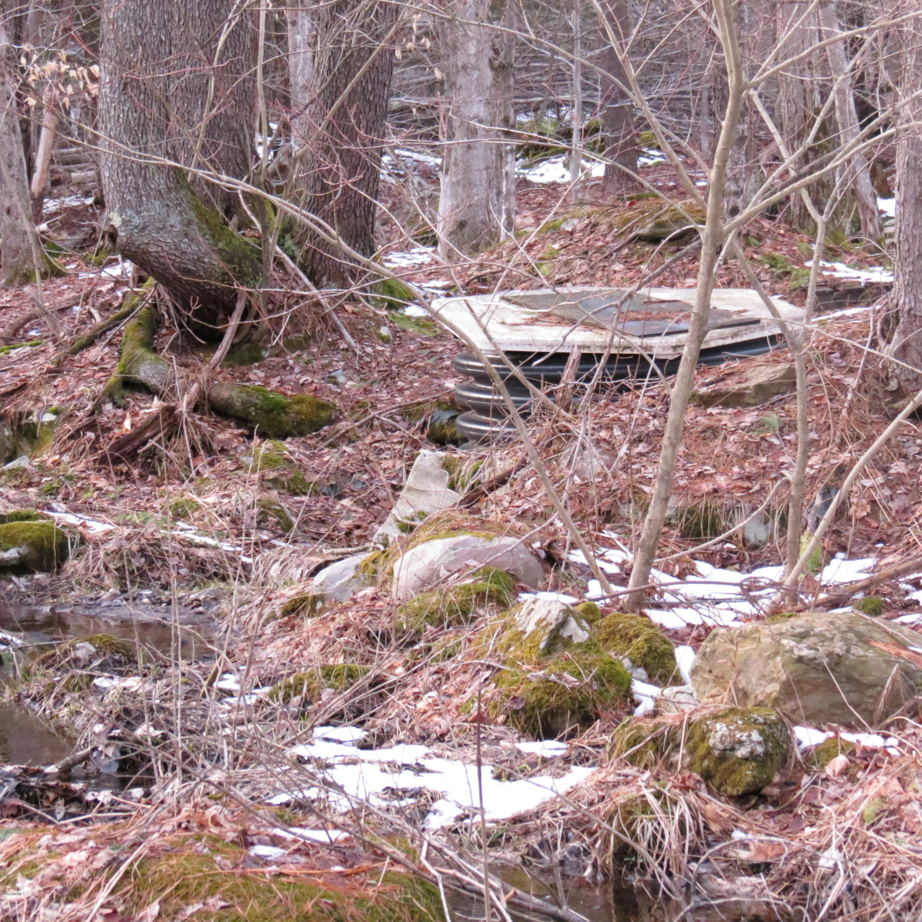 805 Lincoln Road Stamford, VT 05352 - Photo 7 of 13 a backyard of a house with lots of green space and a forest