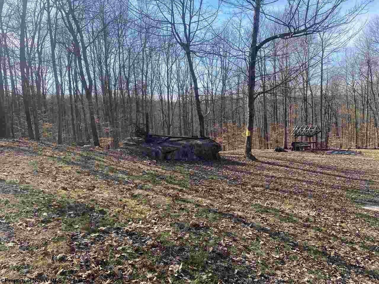 4171 Heaston Ridge Road Crawford, WV 26343 - Photo 12 of 14 Gallery Image 12