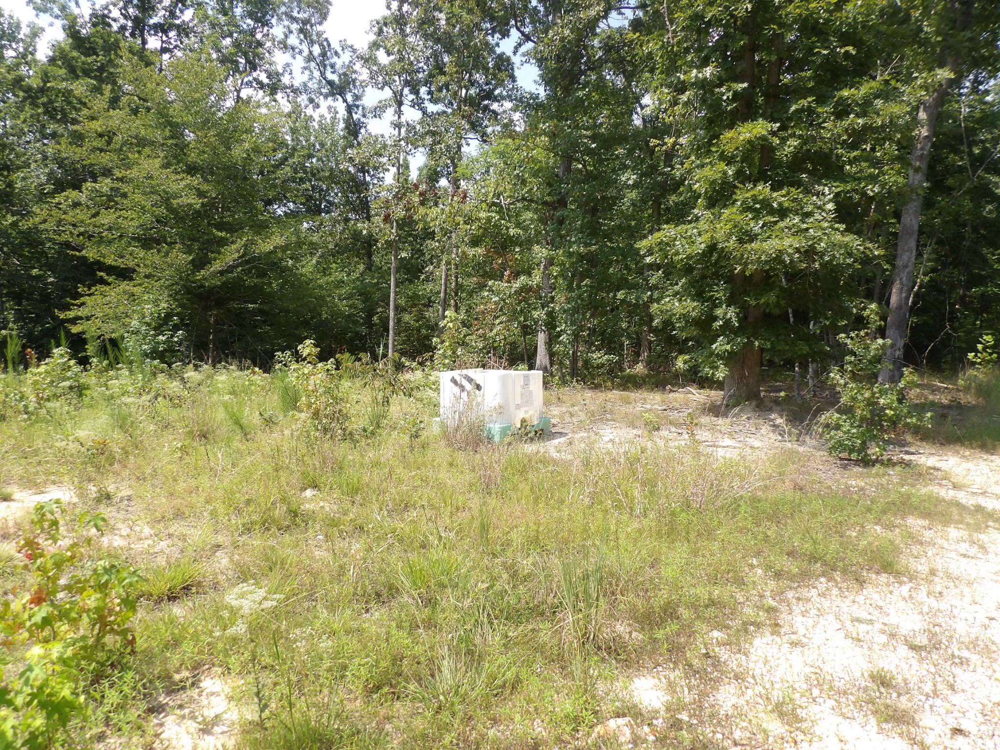 0 Old Union Church Road Holladay, TN 38341 - Photo 16 of 22 Gallery Image 16