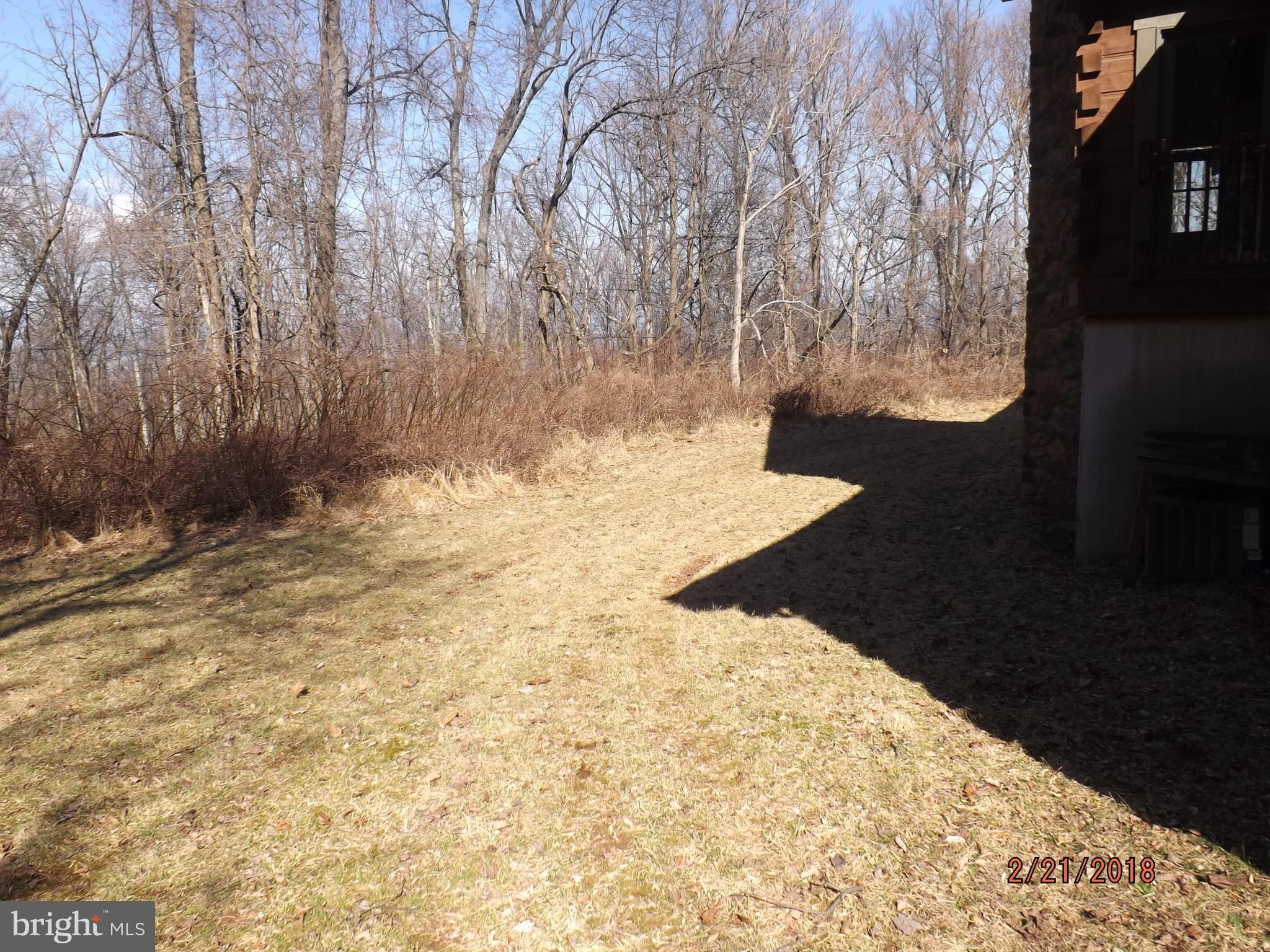 125 Freeze Road Linden, VA 22642 - Photo 5 of 21 BACK YARD