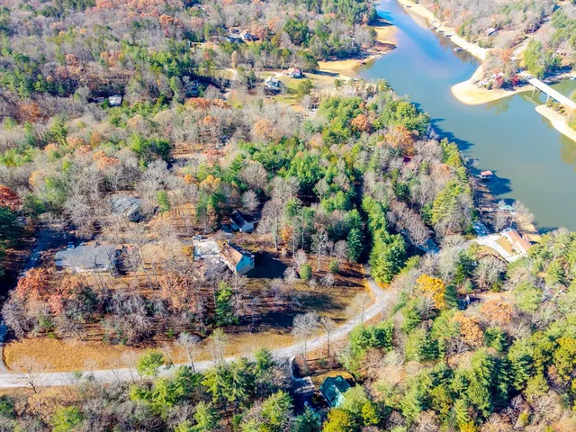 a view of a backyard with a large tree