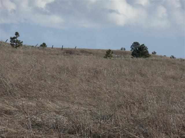 0 South Rupp Road Cheney, WA 99004 - Photo 2 of 5