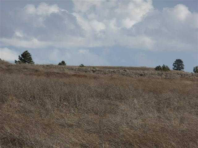 0 South Rupp Road Cheney, WA 99004 - Photo 4 of 5