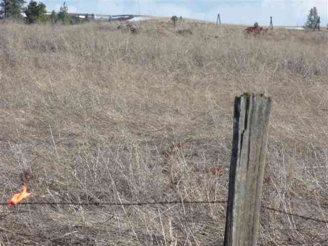 0 South Rupp Road Cheney, WA 99004 - Photo 5 of 5