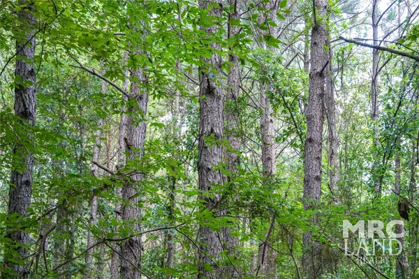 a view of an outdoor space and a yard