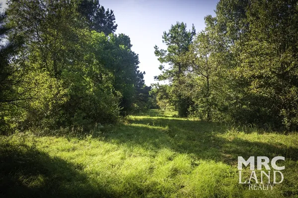 a black and white photo of a small park