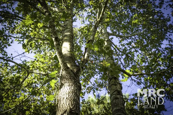 a view of outdoor space with a garden