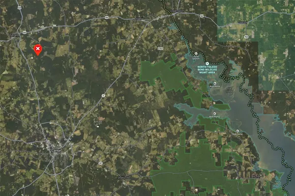 a view of a big yard with plants and large trees