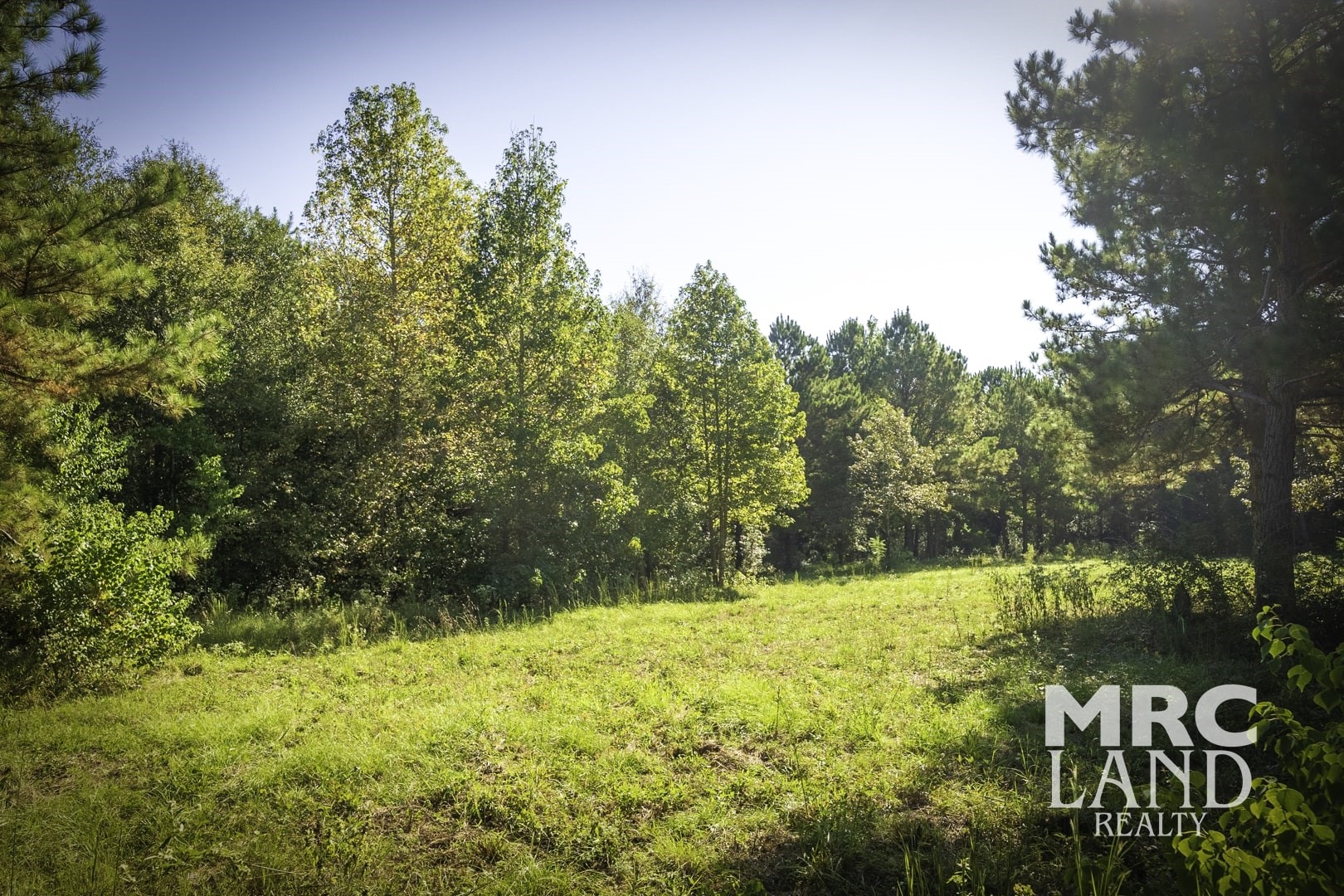 0 County Road 3366 Tenaha, TX 75974 - Photo 24 of 36 a view of outdoor space with a garden