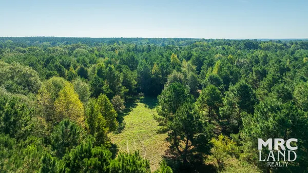 $99,700 | 0 County Road 3366, Tenaha, TX 75974