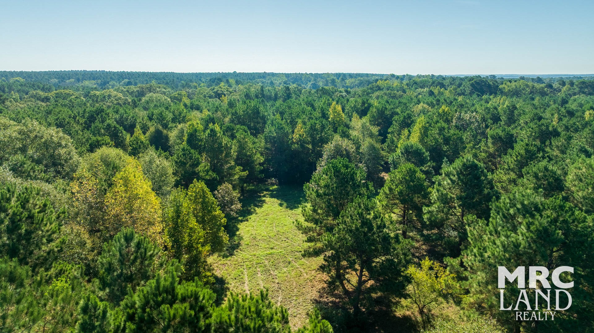 0 County Road 3366 Tenaha, TX 75974 - Photo 32 of 36 a view of a lush green forest with trees in the background